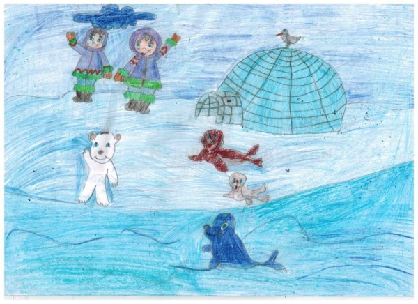 Рисование на тему Арктика