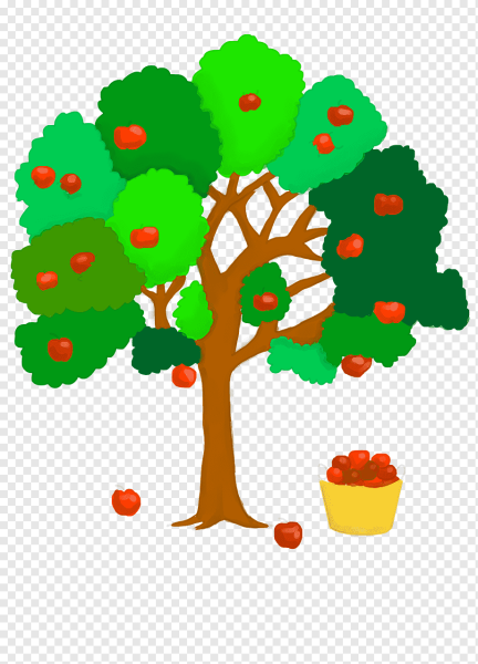 Яблоня для дошкольников