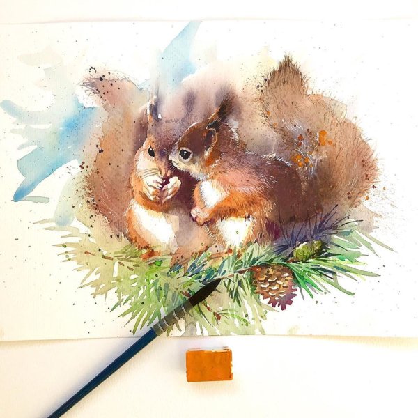 Феи иллюстратор Марина Федотова