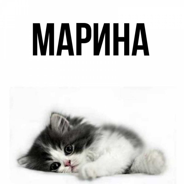 Иллюстрации Марии Федотовой