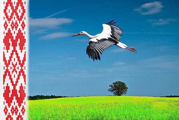 Символ Белоруссии Аист