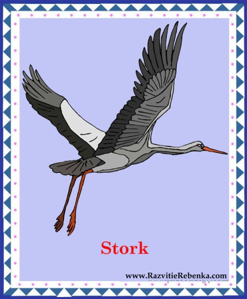 Аист карточка