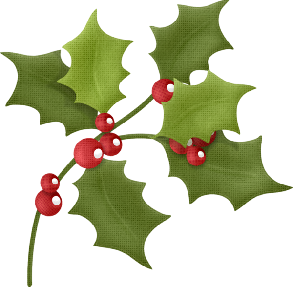 Holly падуб Рождество