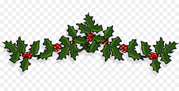 Остролист карандашом