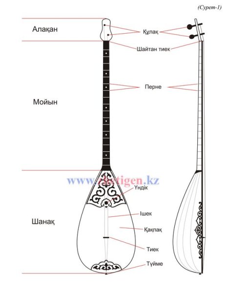 Строение казахской домбры