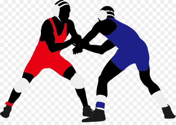 Вышивка борцы