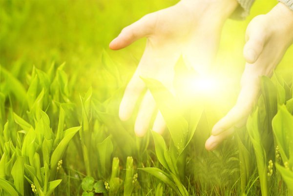 Чистота природы