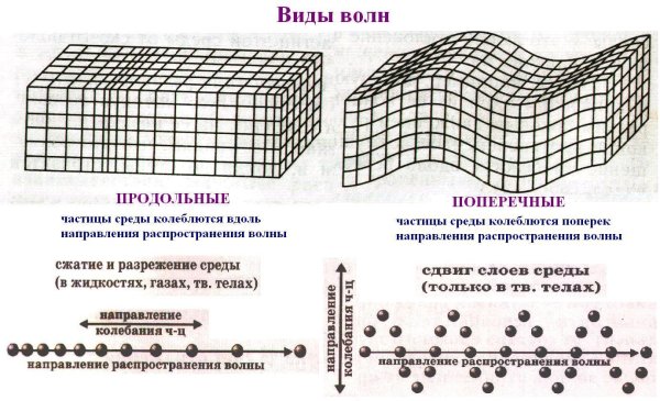Продольные механические волны