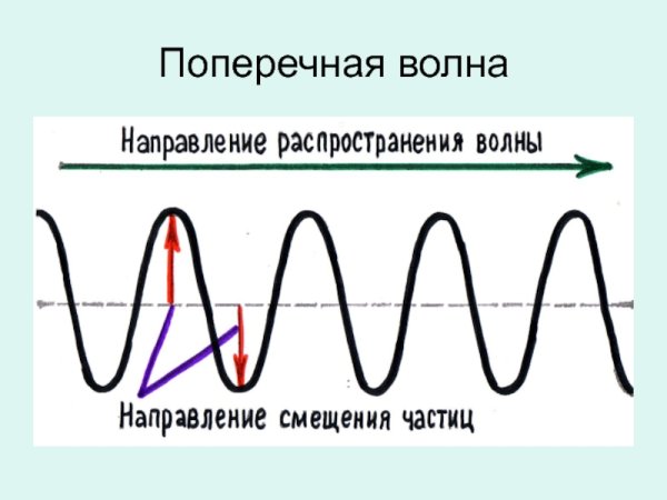 Продольные звуковые волны