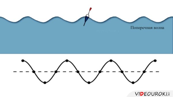 Поперечные волны