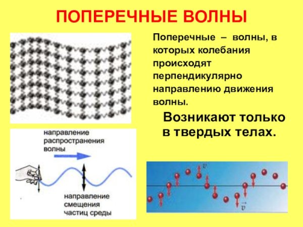 Продольные и поперечные звуковые волны