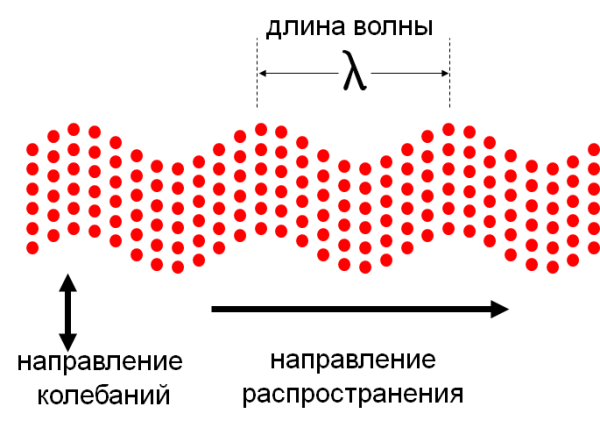 Механические волны,продольные волны,поперечные волны
