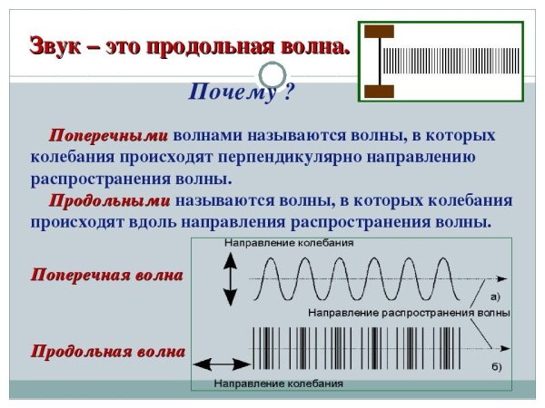 1. Поперечные и продольные волны.