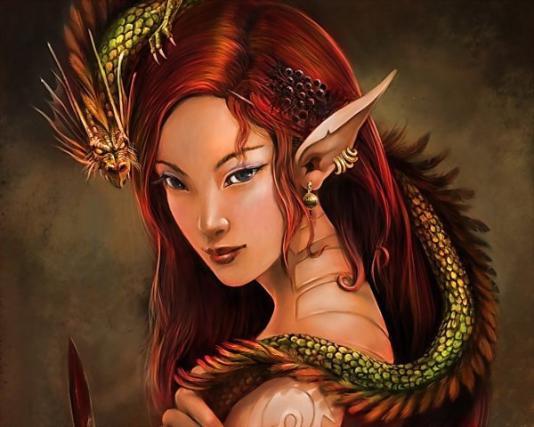 Эльфийка волшебница da2