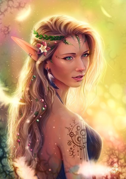 Арт Lineage 2 Эльф и эльфийка