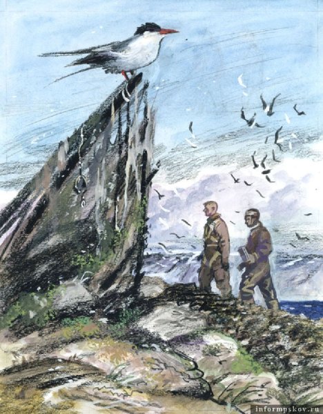 Каверин два капитана рисунки