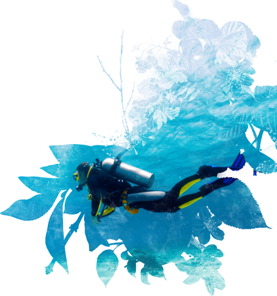 Аквалангист на белом фоне