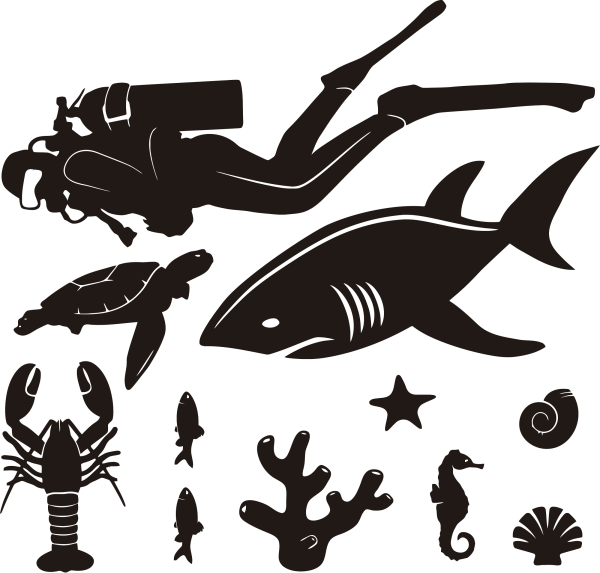 Силуэты морских обитателей
