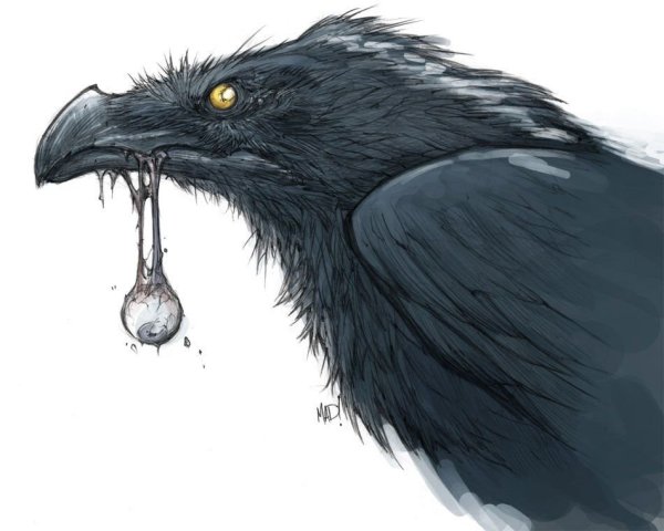 Злой ворон