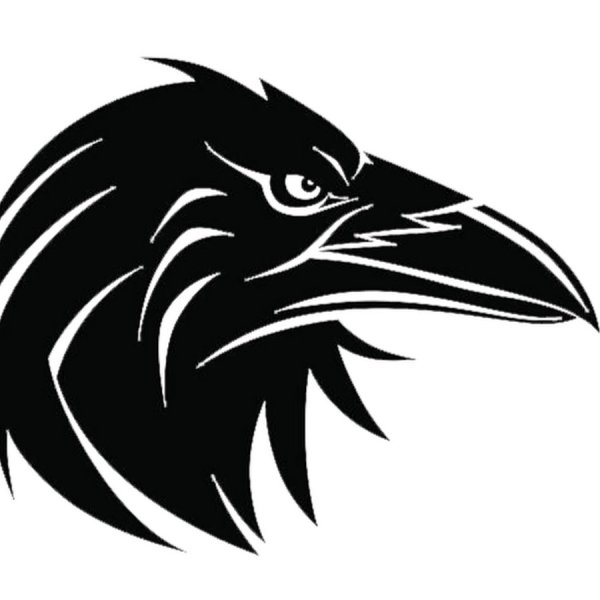 Голова вороны