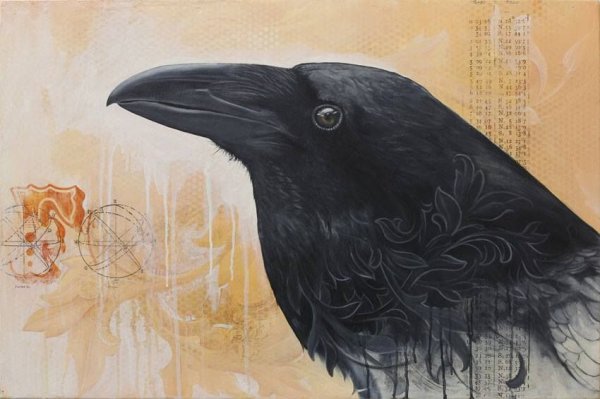 Голова ворона эскиз