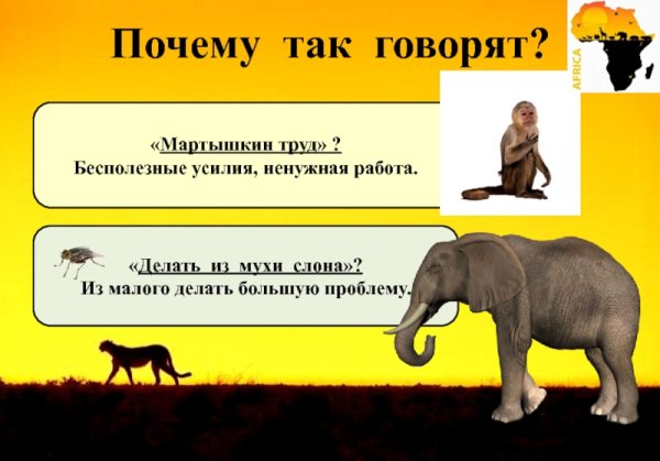 Мартышкин труд фразеологизм