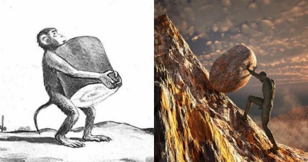 Фразеологизмы Мартышкин труд смешные картинки