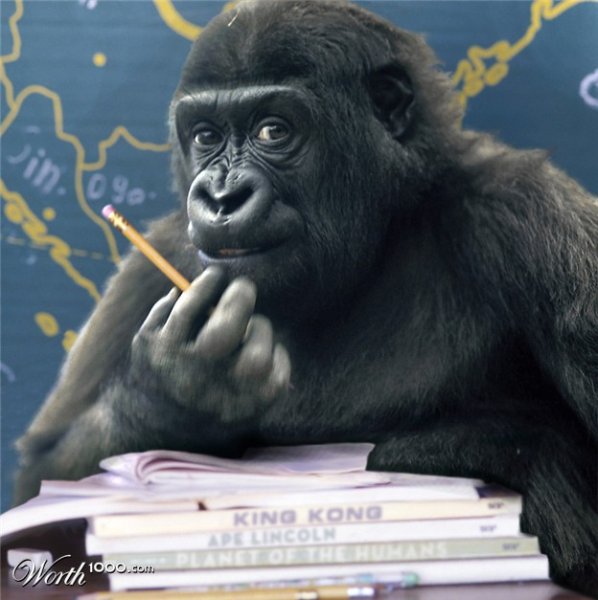 Басни о труде