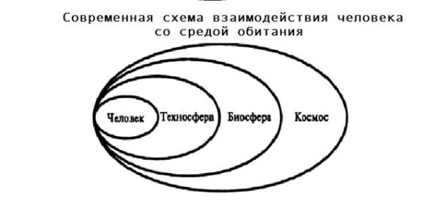 Среда обитания человека схема
