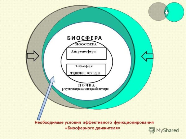 Биосфера Ноосфера Техносфера