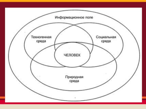 Схема взаимодействия человека с окружающей средой