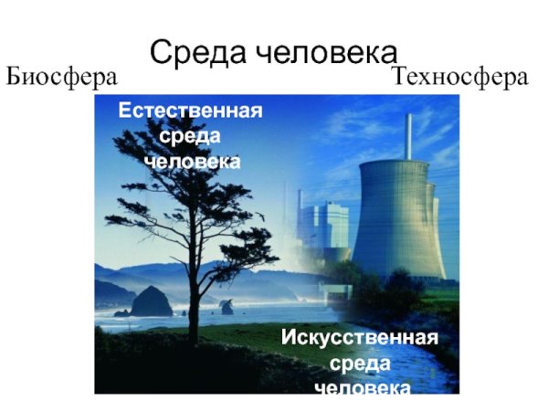 Биосфера и Техносфера