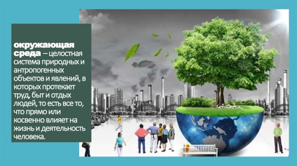Среда человека-экология