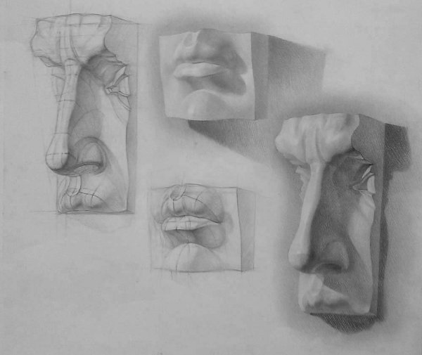 Нос Давида гипс