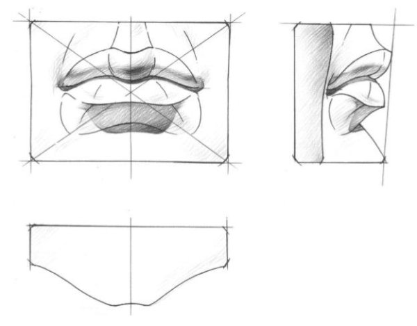 Академическое построение губ Давида