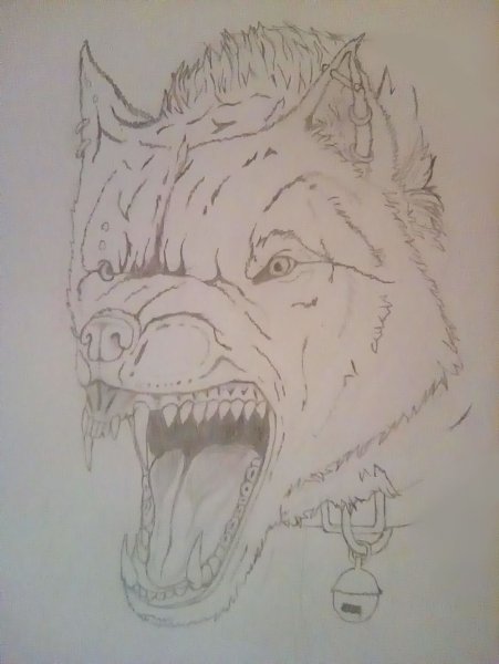 Рисунки карандашом конченые