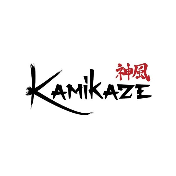 Скелет камикадзе