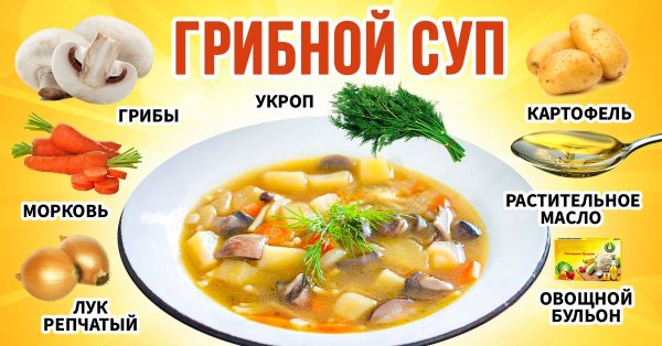 Грибы для приготовления бульонов?