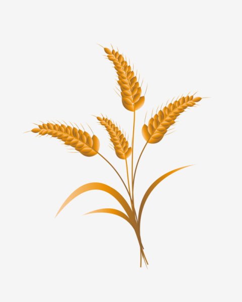 Пшено мультяшный