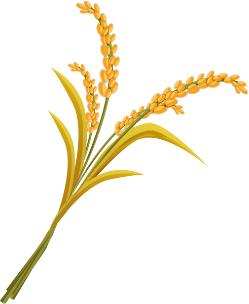 Просо вектор