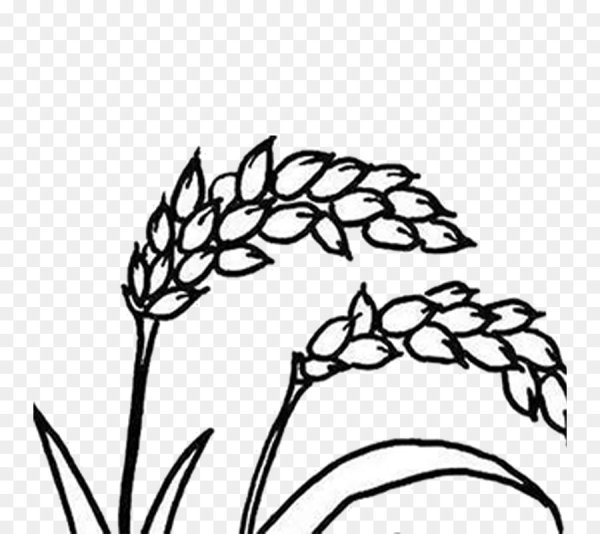 Пшено Колос