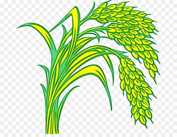 Пшеница мультяшная