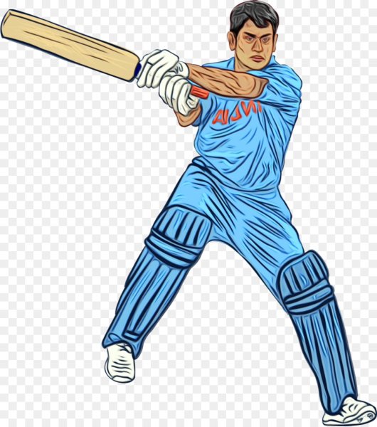 Атрибуты крикета