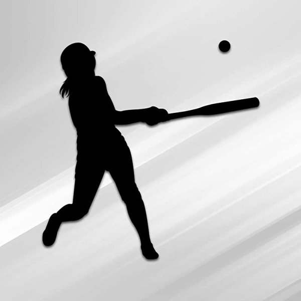 Лапта вектор