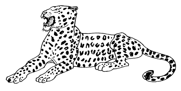 Леопард раскраска для детей