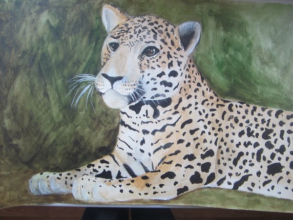 Картмаксимум переднеазиатский леопард