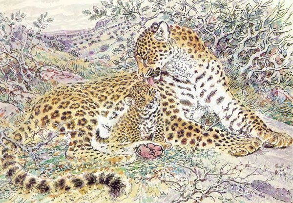 Художник анималист Вадим Горбатов