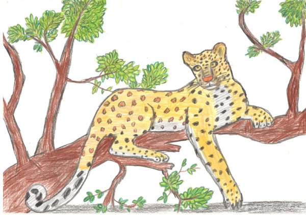 Детские рисунки леопарда