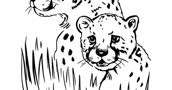 Дальневосточный леопард разукрашку