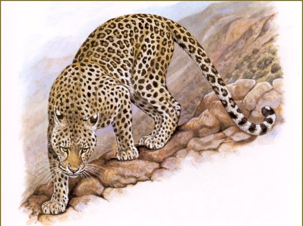 Художник Роберт Даллет